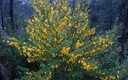La primavera llega a la costa