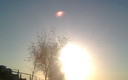 Atardecer en Monturque