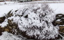 el patio de la casa de mis padres