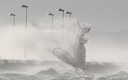 Spirits of the mist