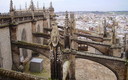 Desde los tejados de la catedral