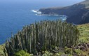 LA PALMA CONTINENTE EN MINIATURA