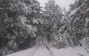 paraje 