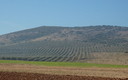 Camino de los Valles
