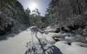 NIEVE EN CEBOLLERA