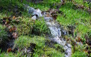 subida a Sierra Nevada, casas viejas, camino de los castaños, las lagunas, cabras en...