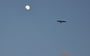 Palencia febrero 2012