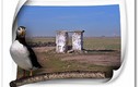 CAMINOS