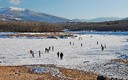 Hielo y mucho frío en Pontón Alto (Segovia) y 2