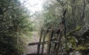 Paseo por Quecedo