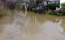 ARROYO GUALDALBARBO ALCOLEA