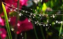 Gotas mágicas