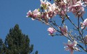 naturaleza