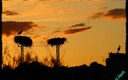 atardecer