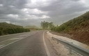 Tormenta de polen