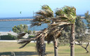 Viento en Junio