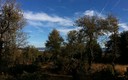 AMANECER EN BAROJA