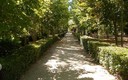 Parque de la chopera