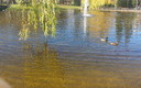 parque san martin