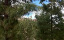 ROQUE NUBLO