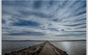 Una tarde de paseo por la Torre