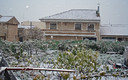 Nevando en Peñas de San Pedro
