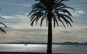Mar tranquila