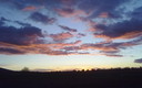 Atardecer en un olivar de Castuera
