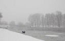estampa  invernal