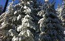 ultimas nevadas