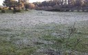 10-02-2012 Dia de Frio en Algeciras.