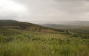 Paseando por el Valle de Alcudia
