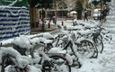 Mi bici