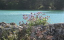 Primavera en Ruidera