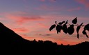 Atardecer