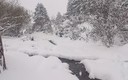 vuelta del invierno