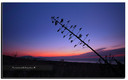 amanecer en la linea