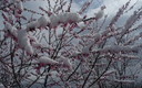 nieve en primavera