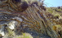 PLIEGUE EN VILLANUEVA DE LAS TORRES