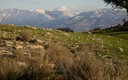 APARECIO EL SOL SALIO Y LA NIEVE TARDO POCO EN IRSE