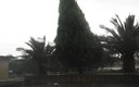 la fuerza de la lluvia en adamuz