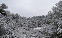 nevada 2012 (2)