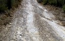 Caminos...