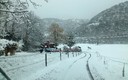 07-febrero-2013 caballos en la nieve