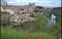 DETALLES DE TOLEDO (parte IV) - (Toledo, radiante ante la entrada de la Primavera)