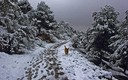 Nieve en el Carmelo (barcelona)