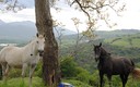 Nates, sus paisajes y celajes