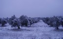Hoy en puertollano