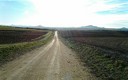 Camino hacia los Montes de Toledo