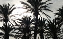Playa de Santa Margarita-Rosas
